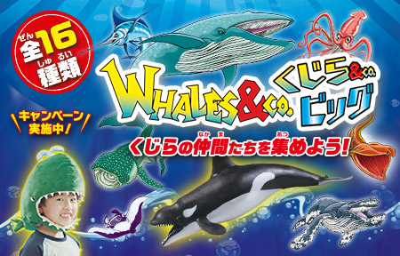WHALES＆co. クジラアンドコ 全16種コンプリートセット 日本未